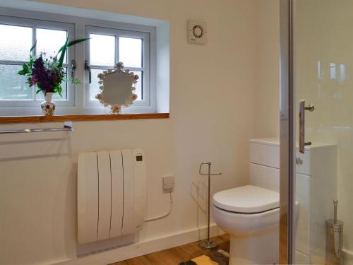 a bathroom with a toilet and a window at Dark Sky Lodge in Cray
