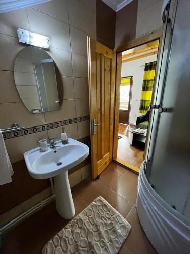 a bathroom with a sink and a mirror and a shower at Vila SOFIA in Haţeg