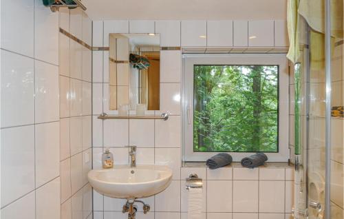 bagno con lavandino e finestra di Gorgeous Home In Tharandt With Kitchen a Tharandt