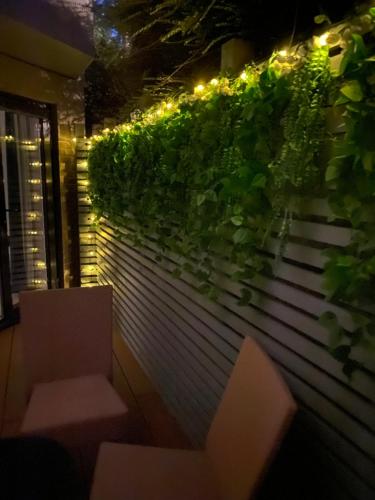 a wall with plants on it with lights on it at The Bay house Apartments , shanklin in Shanklin