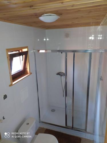 a shower in a bathroom with a toilet and a window at EkoZagroda Goreń Duży in Goreń Duży