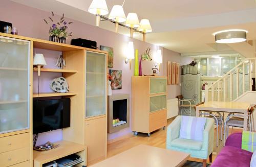 a living room with a couch and a tv at Casa La Hiedra dúplex independiente jardín privado in Panticosa