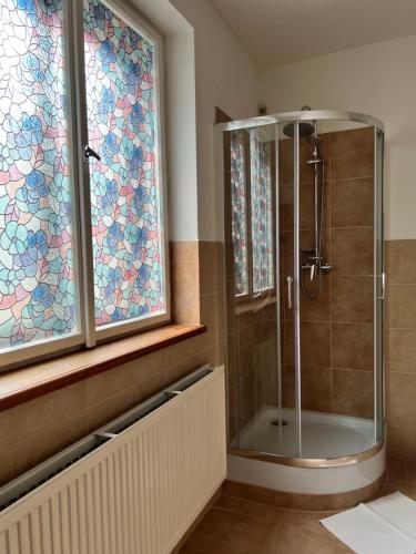 Hotel Maxim في فريدك-ميستيك: دش في الحمام مع نوافذ زجاجية ملطخة