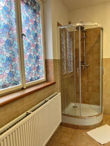 a shower in a bathroom with stained glass windows at Hotel Maxim in Frýdek-Místek