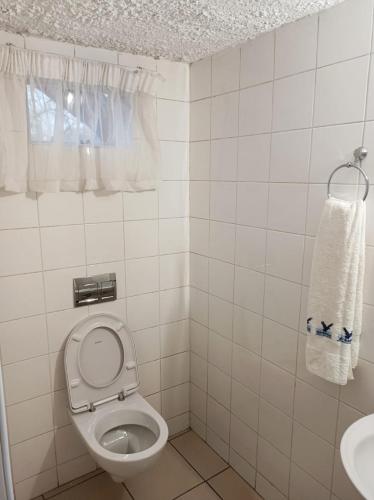 a bathroom with a toilet and a sink at Danodeb Lodge in Pietermaritzburg