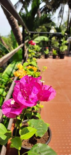 Un jardín fuera de Bageecha B&B- Vaayu