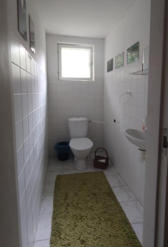 a bathroom with a toilet and a sink and a rug at Uuejärve house at Kõrvemaa forest in Pillapalu