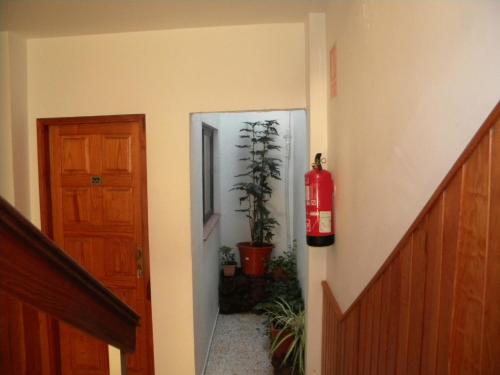 Fotografie z fotogalerie ubytování Apartamentos Restinga v destinaci La Restinga