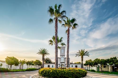 a group of palm trees in front of a building at Belina - Bougain Villas Premier in Cape Town