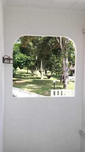 a window in a white wall with trees in a park at Seri Dusun Sepang Homestay & Event Space in Sepang