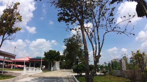 a street with a tree in front of a building at Seri Dusun Sepang Homestay & Event Space in Sepang