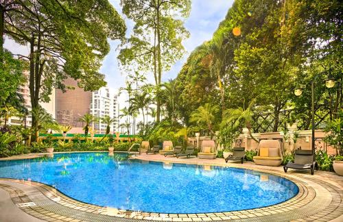 - une piscine dans un complexe avec des chaises et des arbres dans l'établissement Vibe Hotel Singapore Orchard, à Singapour