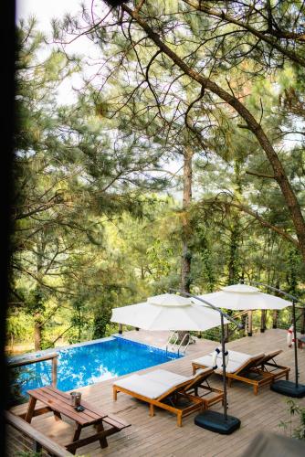 two picnic tables and umbrellas next to a swimming pool at Amaya Retreat in Sóc Sơn