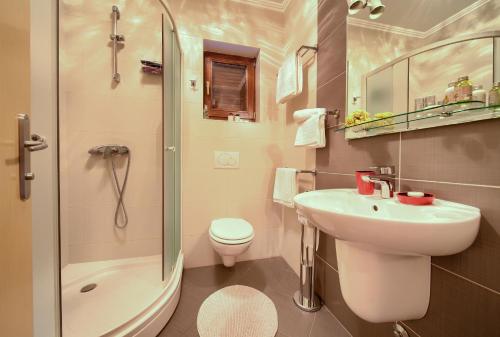 a bathroom with a sink and a toilet and a shower at Bella Vista in Fužine