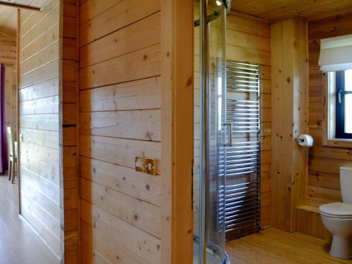 een badkamer met een toilet en een glazen douche bij Otter - Uk12540 in Witheridge