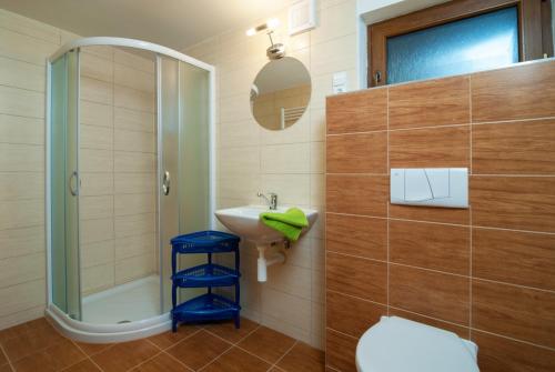 ein Bad mit einer Dusche, einem WC und einem Waschbecken in der Unterkunft Apartmán 3 Špindlerův Mlýn in Špindlerův Mlýn
