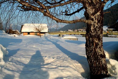 Gallery image of Frühstückspension Seerose in Weissensee