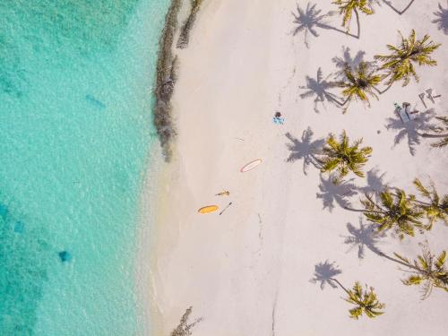an overhead view of a beach with palm trees at Hondaafushi Island Resort in Vaikaradhoo