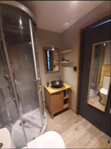 une salle de bain avec douche et lavabo dans l'établissement O COSY D'OLLE, à Allemont