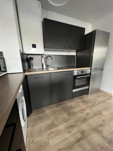 a kitchen with a sink and a dishwasher at Le Roazhon, Rennes métropole in Rennes