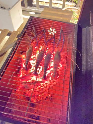 Kemudahan BBQ tersedia untuk tetamu di aparthotel ini