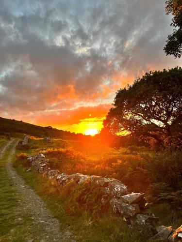 a sunset over a field with a dirt road at The Hazel Hut in Westport
