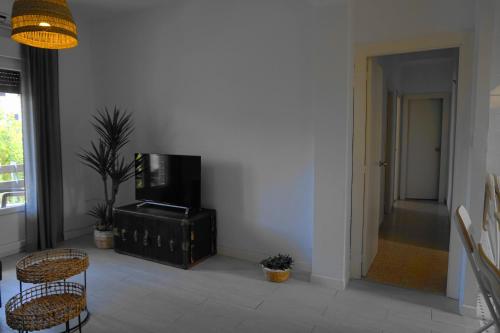 TV a/nebo společenská místnost v ubytování Apartamentos IMPLUVIUM Mérida
