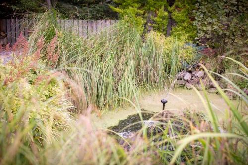 a garden with tall grass and a fountain in it at Calm Scottish Country Escape with Hot Tub Sleeps 6 in Inverness