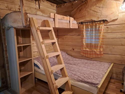 a bedroom with bunk beds in a log cabin at Brvnara u planini in Petrovac na Mlavi