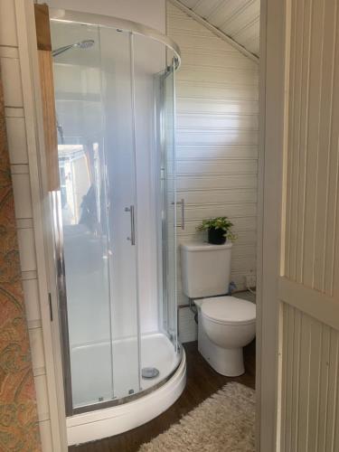 uma casa de banho com um chuveiro e um WC. em The Cabin em Spixworth