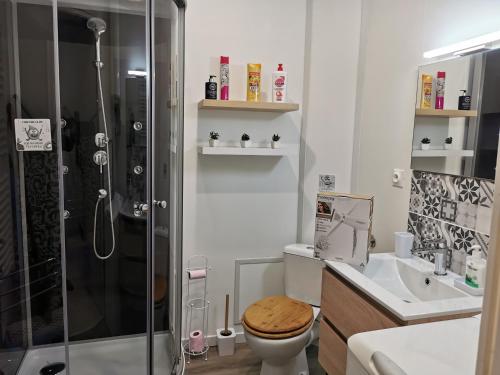 VITTEL LOC'S - LE 147 - Studio classé 2 étoiles CALME ET COSY tesisinde bir banyo