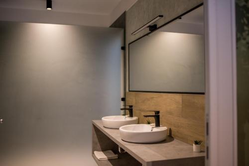 2 Waschbecken im Bad mit großem Spiegel in der Unterkunft Astoria Horse Center in Gheorgheni