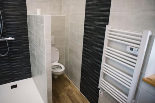 a bathroom with a white toilet and black tiles at Chambre spacieuse Le clos des vignes in Chavanay