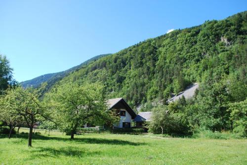 a house in a field in front of a mountain at Apartments Trata in Kranjska Gora