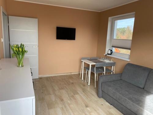 a living room with a couch and a table at Apartamenty na Zaciszu in Kąty Rybackie