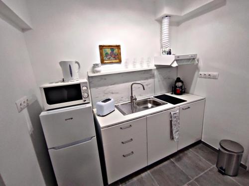 a small kitchen with a sink and a refrigerator at Alea Apartmanok in Harkány