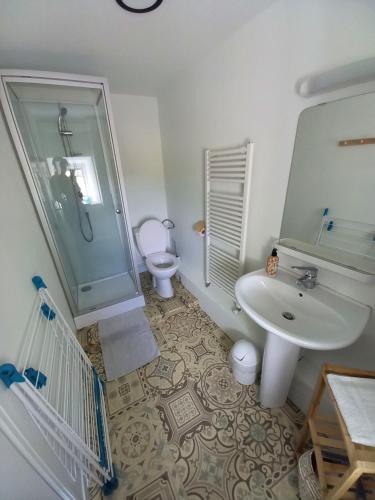 La salle de bains est pourvue d'un lavabo, d'une douche et de toilettes. dans l'établissement Appartement 3 ème étage avec piscine partagée, à Sedan
