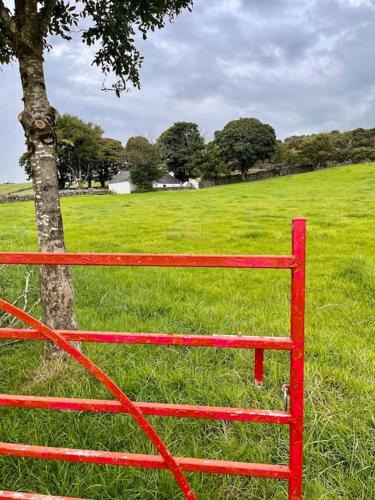 a red bench next to a tree in a field at Tosses Cottage - Secluded cottage with hot tub in Newry