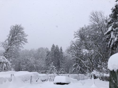 a snow covered yard with trees and a fence at Ferienhof Weber Nieratz in Wangen im Allgäu