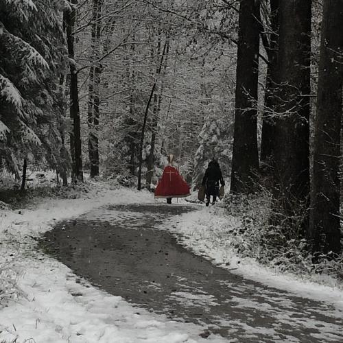 two people walking down a path in the snow at Ferienhof Weber Nieratz in Wangen im Allgäu