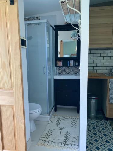 a bathroom with a toilet and a sink and a mirror at Adorable chambre vue sur piscine in Béziers