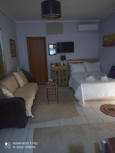 Studio Anna-Maria