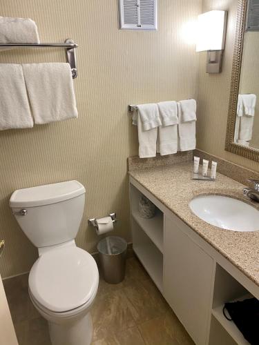 Ένα μπάνιο στο Radisson Hotel Philadelphia Northeast