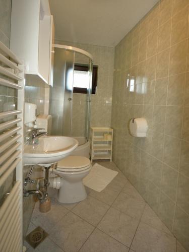 a bathroom with a toilet and a sink at Guest House Ljubo & Ana in Rastovača