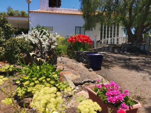 a garden with flowers in front of a house at CASA rural DOLORES en Adeje in Adeje