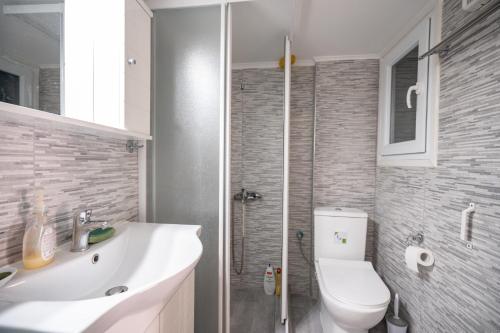 a bathroom with a toilet and a sink and a shower at Ano Kipseli 2 bedrooms 4 pers apartment in Athens