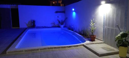a large blue swimming pool in a room with plants at Casa Versel Trancoso in Trancoso