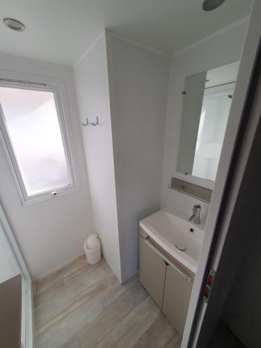 une salle de bain avec un lavabo et un miroir dans l'établissement Smala, à Saint-Julien-en-Born