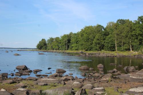 a river with rocks and trees on the shore at Yxkullsund Säteri B&B - Manor & Estate since 1662 in Lagan