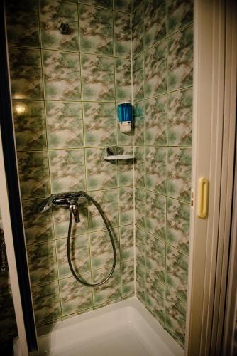 a shower with a hose in a bathroom at Pensiune Roua 2 in Arad